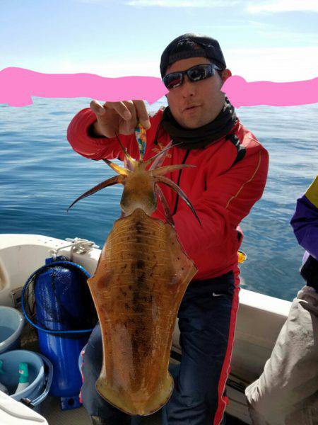 ソルトウォーターガイドフレンズ 釣果