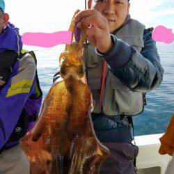 ソルトウォーターガイドフレンズ 釣果