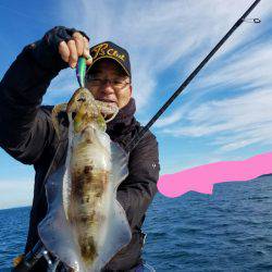 ソルトウォーターガイドフレンズ 釣果