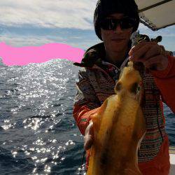 ソルトウォーターガイドフレンズ 釣果