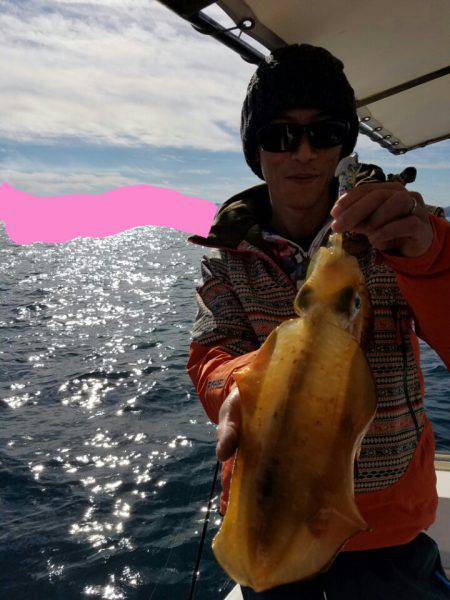 ソルトウォーターガイドフレンズ 釣果