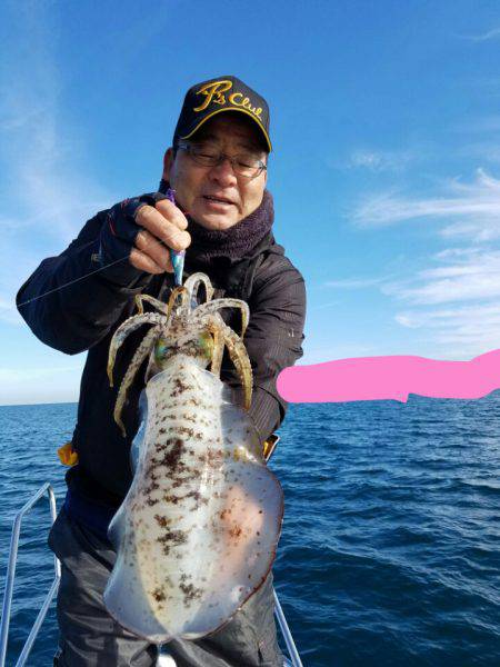 ソルトウォーターガイドフレンズ 釣果