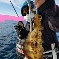 ソルトウォーターガイドフレンズ 釣果