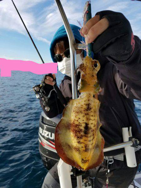 ソルトウォーターガイドフレンズ 釣果