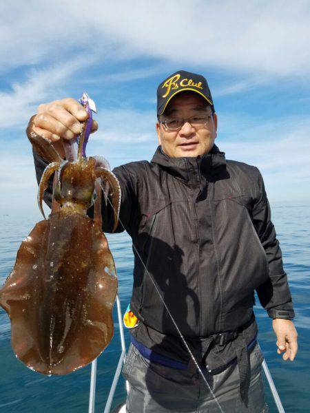 ソルトウォーターガイドフレンズ 釣果