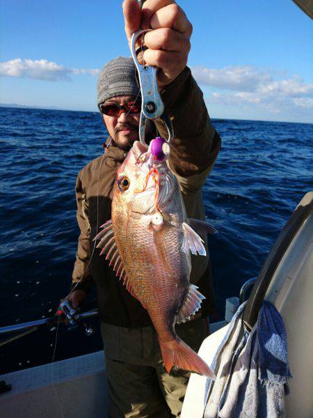 ARCADIAⅡ （アルカディアⅡ） 釣果