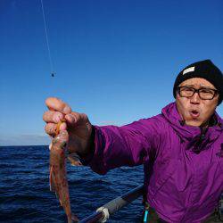 ARCADIAⅡ （アルカディアⅡ） 釣果