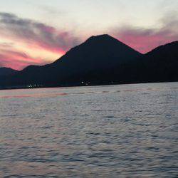 ARCADIAⅡ （アルカディアⅡ） 釣果