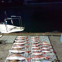 ARCADIAⅡ （アルカディアⅡ） 釣果