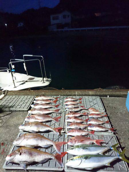 ARCADIAⅡ （アルカディアⅡ） 釣果