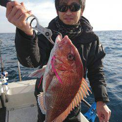 ARCADIAⅡ （アルカディアⅡ） 釣果