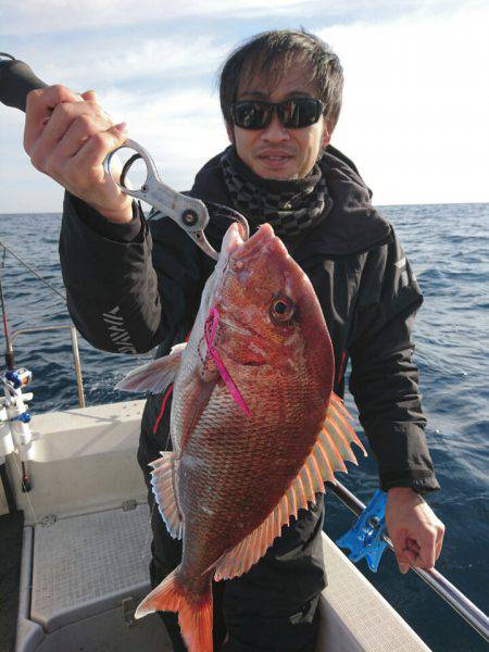 ARCADIAⅡ （アルカディアⅡ） 釣果