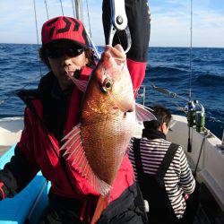 ARCADIAⅡ （アルカディアⅡ） 釣果