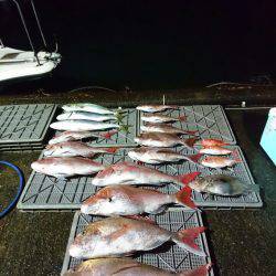 ARCADIAⅡ （アルカディアⅡ） 釣果