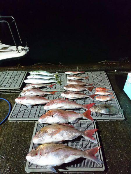 ARCADIAⅡ （アルカディアⅡ） 釣果