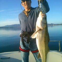 海龍丸(島根) 釣果