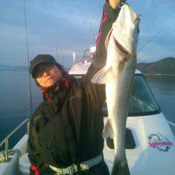 海龍丸(島根) 釣果