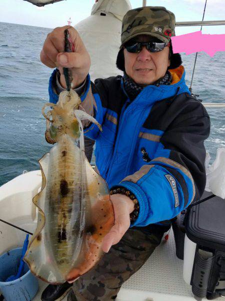 ソルトウォーターガイドフレンズ 釣果