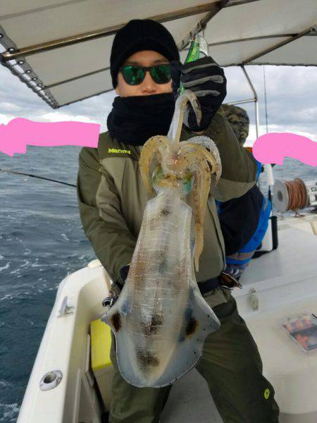 ソルトウォーターガイドフレンズ 釣果