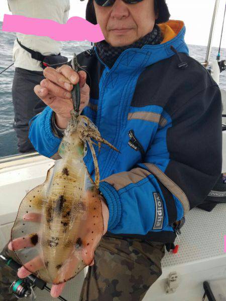 ソルトウォーターガイドフレンズ 釣果