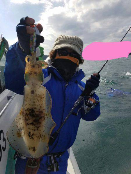 ソルトウォーターガイドフレンズ 釣果