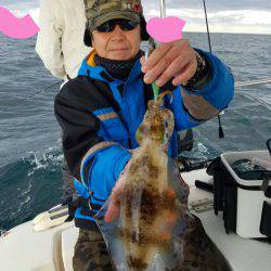 ソルトウォーターガイドフレンズ 釣果