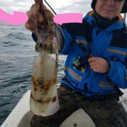 ソルトウォーターガイドフレンズ 釣果