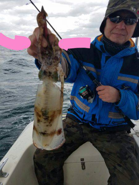 ソルトウォーターガイドフレンズ 釣果