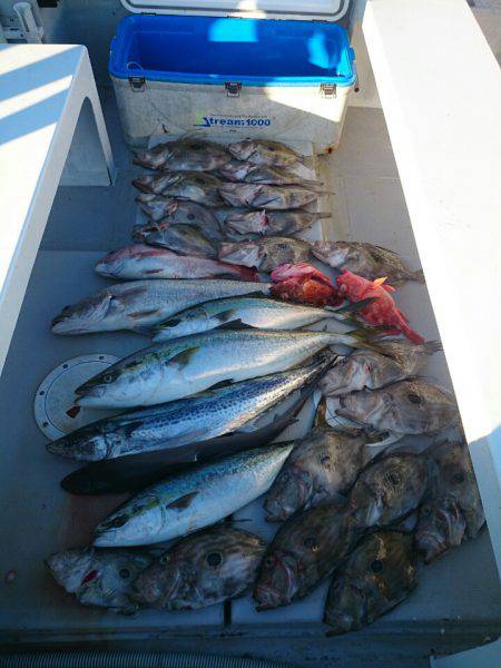 エンペラー 釣果