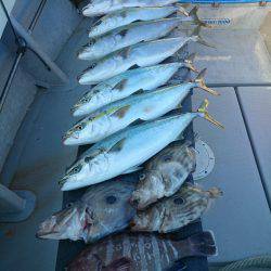 エンペラー 釣果