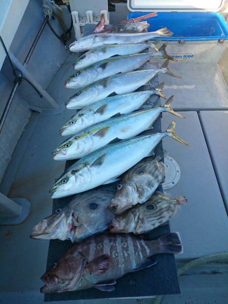 エンペラー 釣果