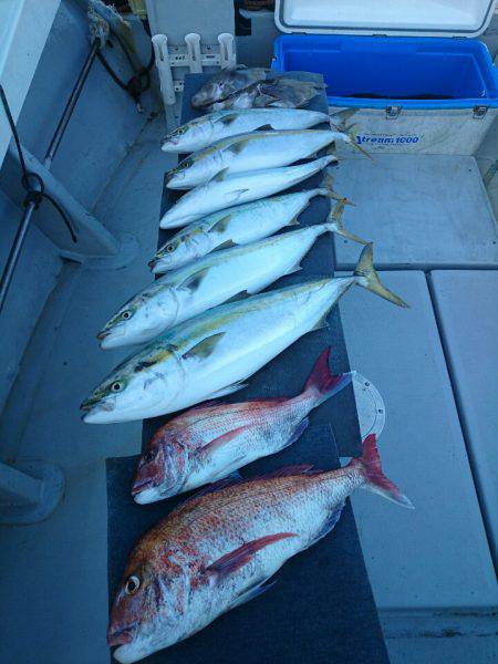 エンペラー 釣果