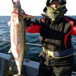 ありもと丸 釣果