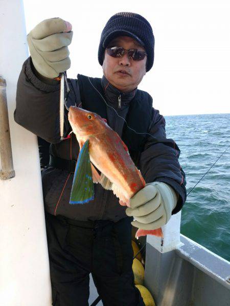 ありもと丸 釣果