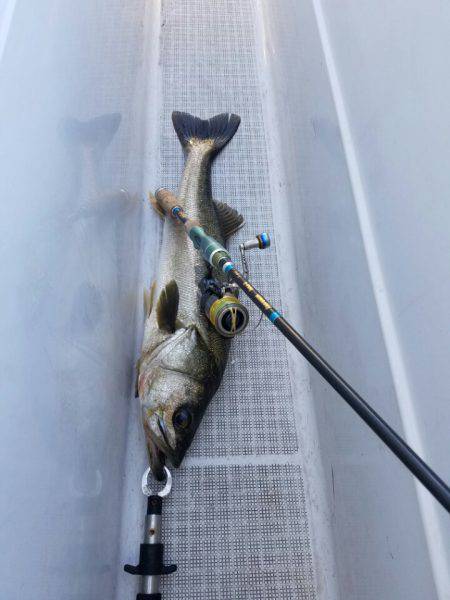 海龍丸(島根) 釣果