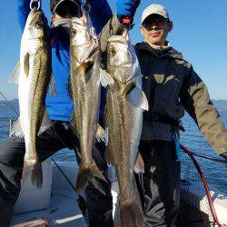 海龍丸(島根) 釣果