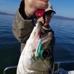 海龍丸(島根) 釣果