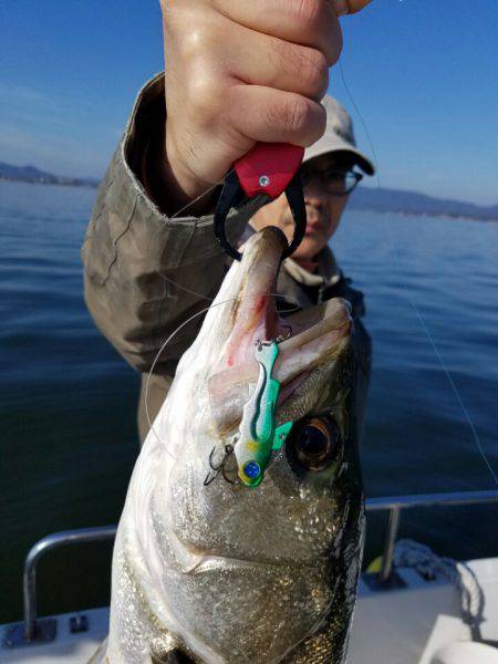 海龍丸(島根) 釣果