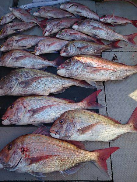 ブルースフィッシングサービス 釣果