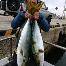 ありもと丸 釣果
