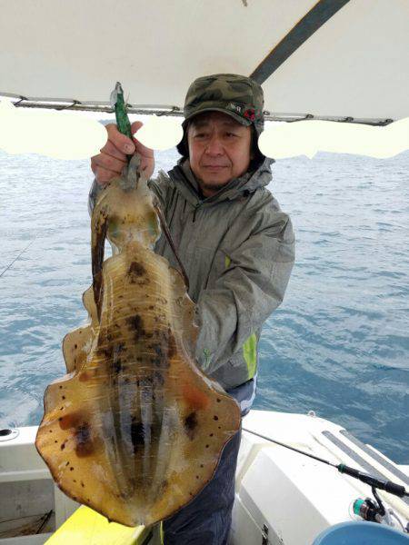 ソルトウォーターガイドフレンズ 釣果