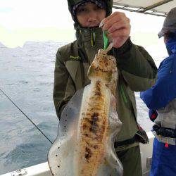 ソルトウォーターガイドフレンズ 釣果