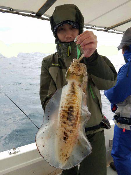 ソルトウォーターガイドフレンズ 釣果