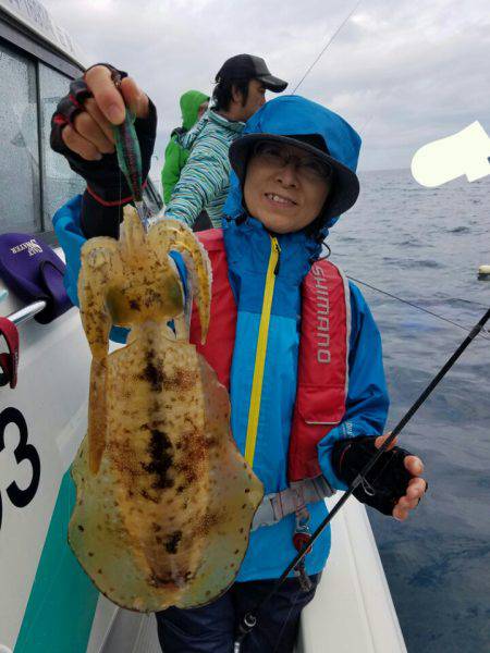 ソルトウォーターガイドフレンズ 釣果