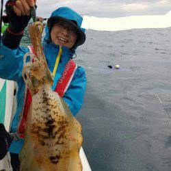 ソルトウォーターガイドフレンズ 釣果