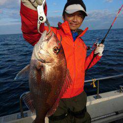 ARCADIAⅡ （アルカディアⅡ） 釣果