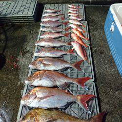 ARCADIAⅡ （アルカディアⅡ） 釣果