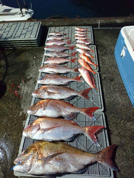 ARCADIAⅡ （アルカディアⅡ） 釣果