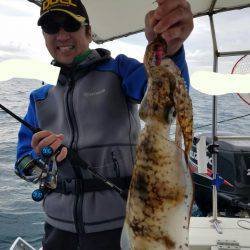 ソルトウォーターガイドフレンズ 釣果