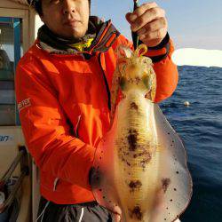 ソルトウォーターガイドフレンズ 釣果